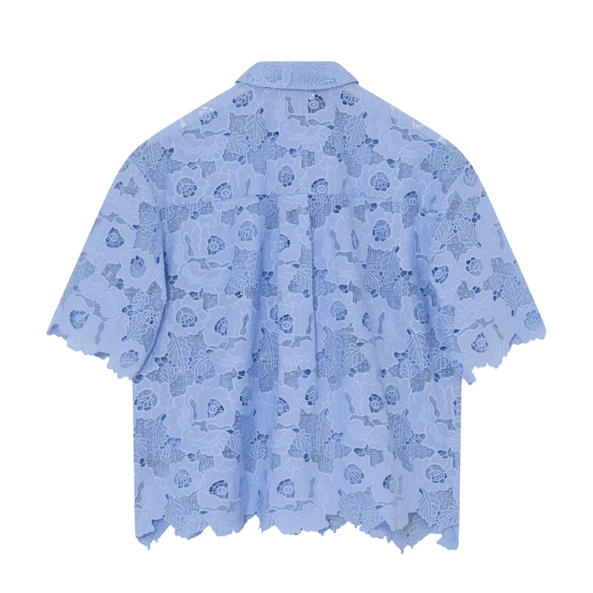 2ND Austinas - Cashmere Blue