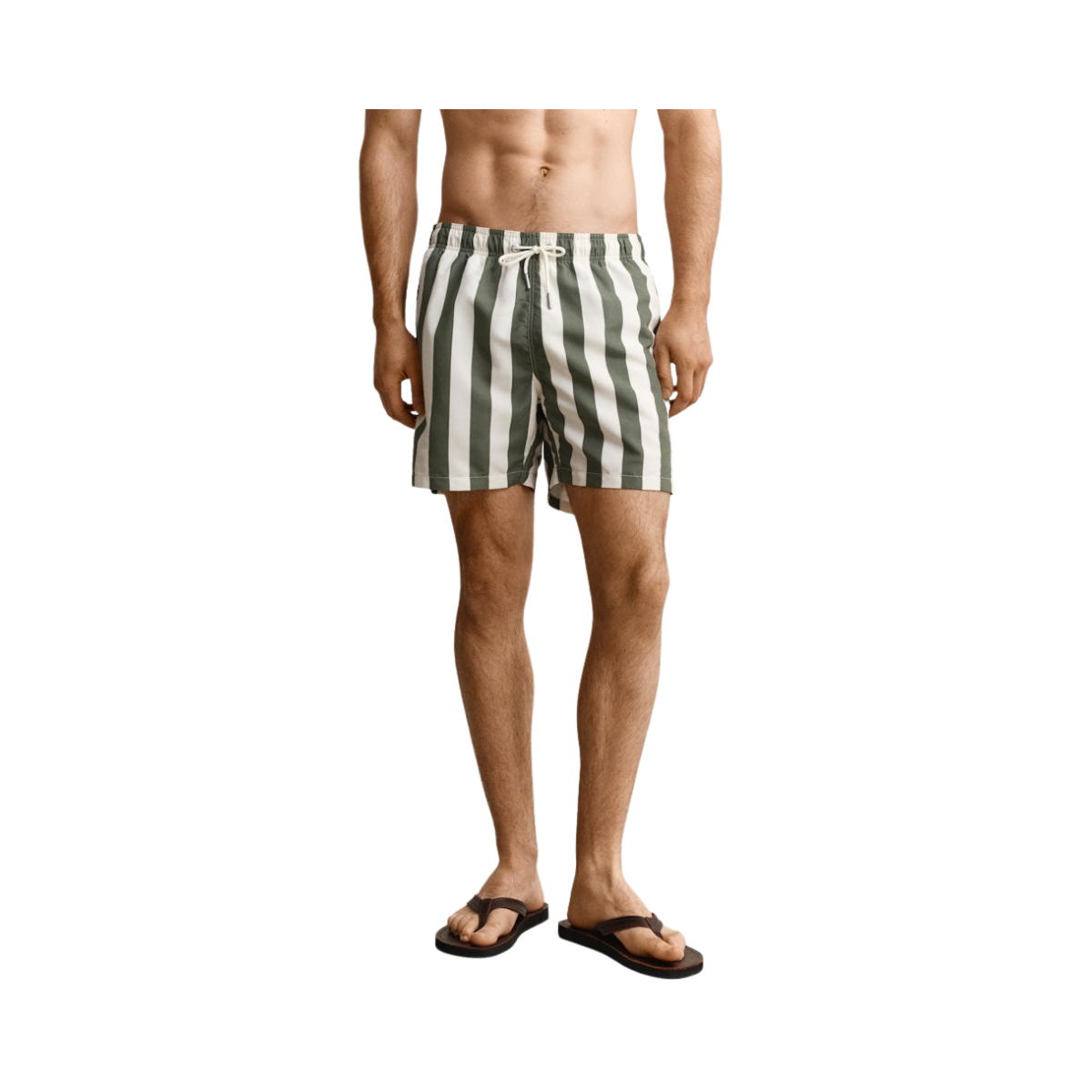 Block Striped Swim Shorts - 379 Dry Herb Green
