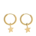 Earrings With Star - 1200 Gold