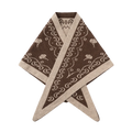 N-Neomi Scarf - Sand Brown Mix