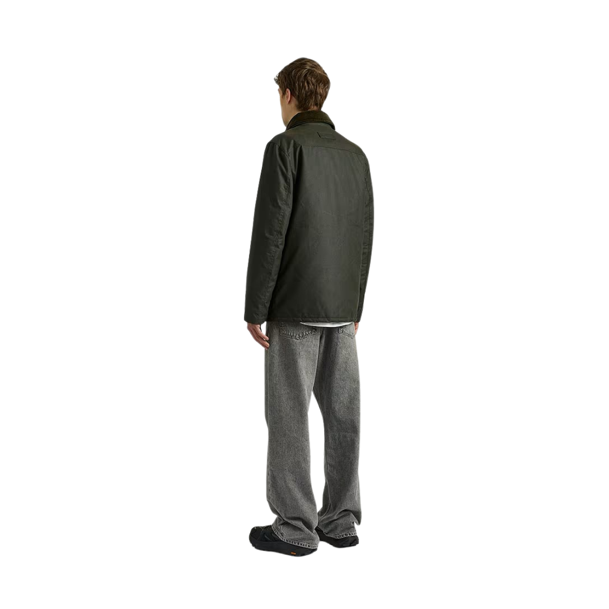 Curtis - Olive
