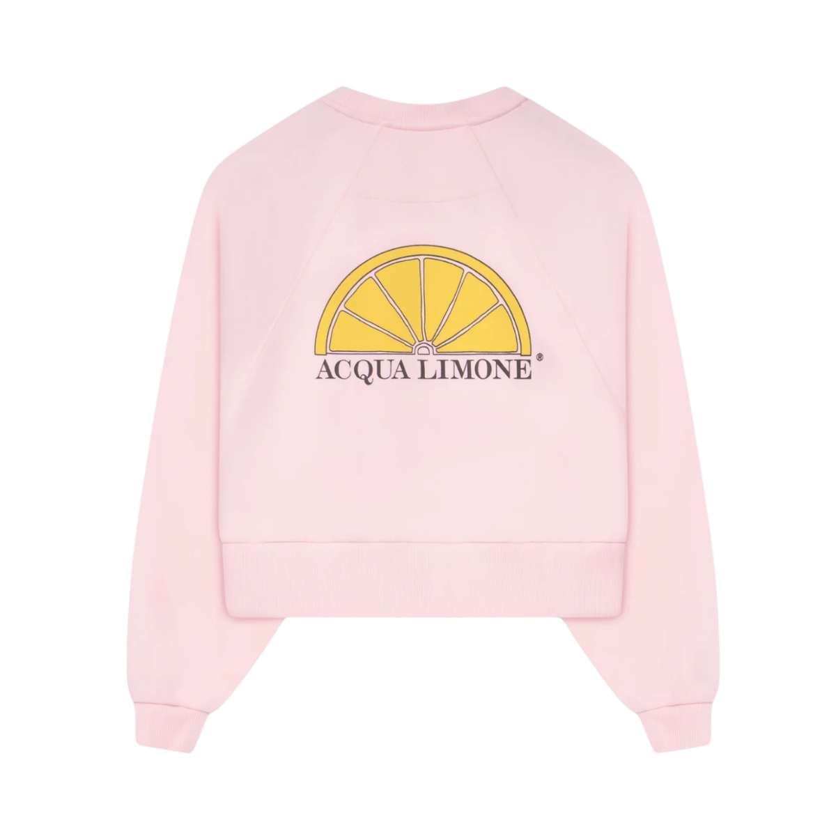 Cropped Ivy Sweater - Pale Pink