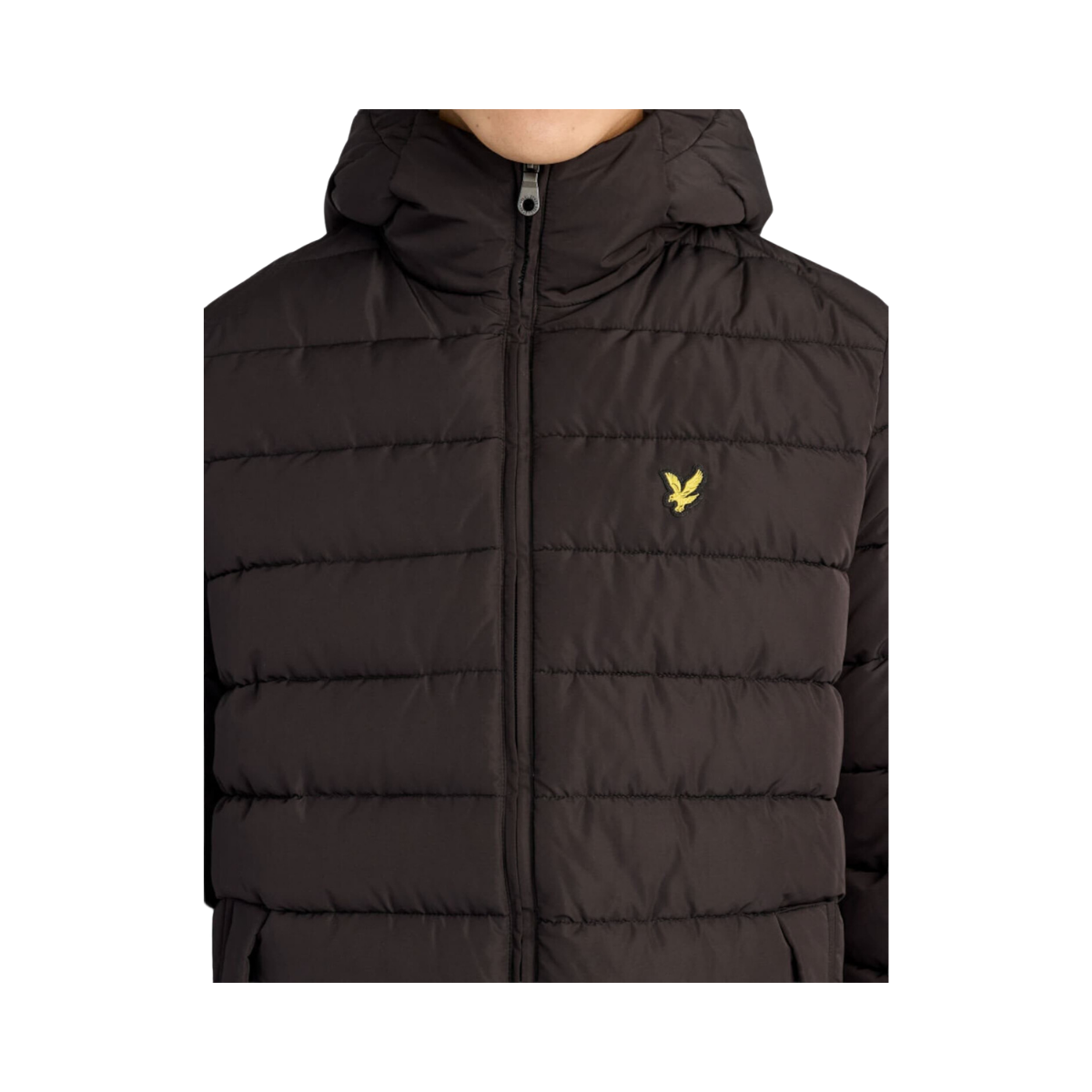 Hooded Quilted Jacket - Jet Black