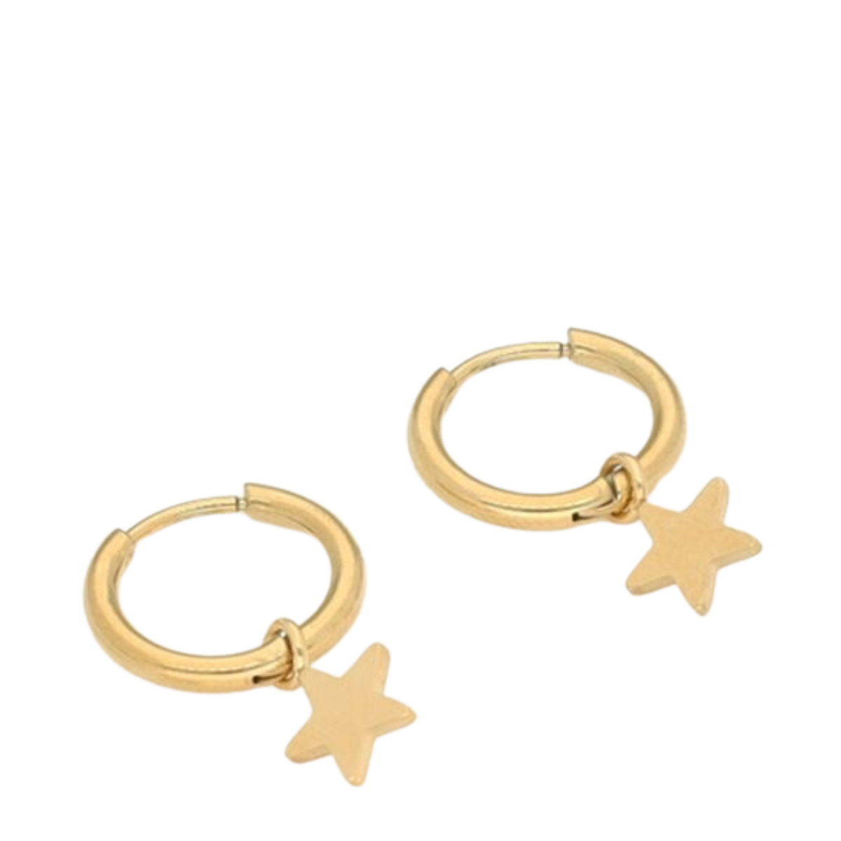 Earrings With Star - 1200 Gold