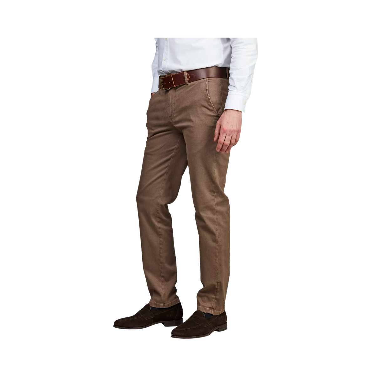 Classic Chino Bormio Print - Dark Beige