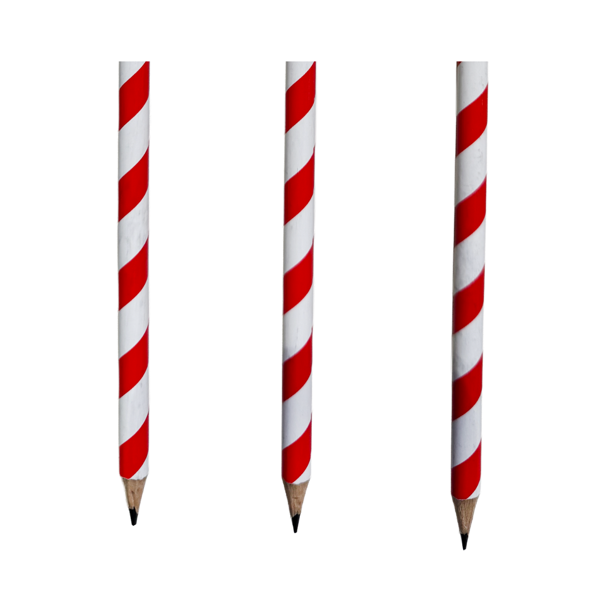 Golden Zebra Pencil - Gold