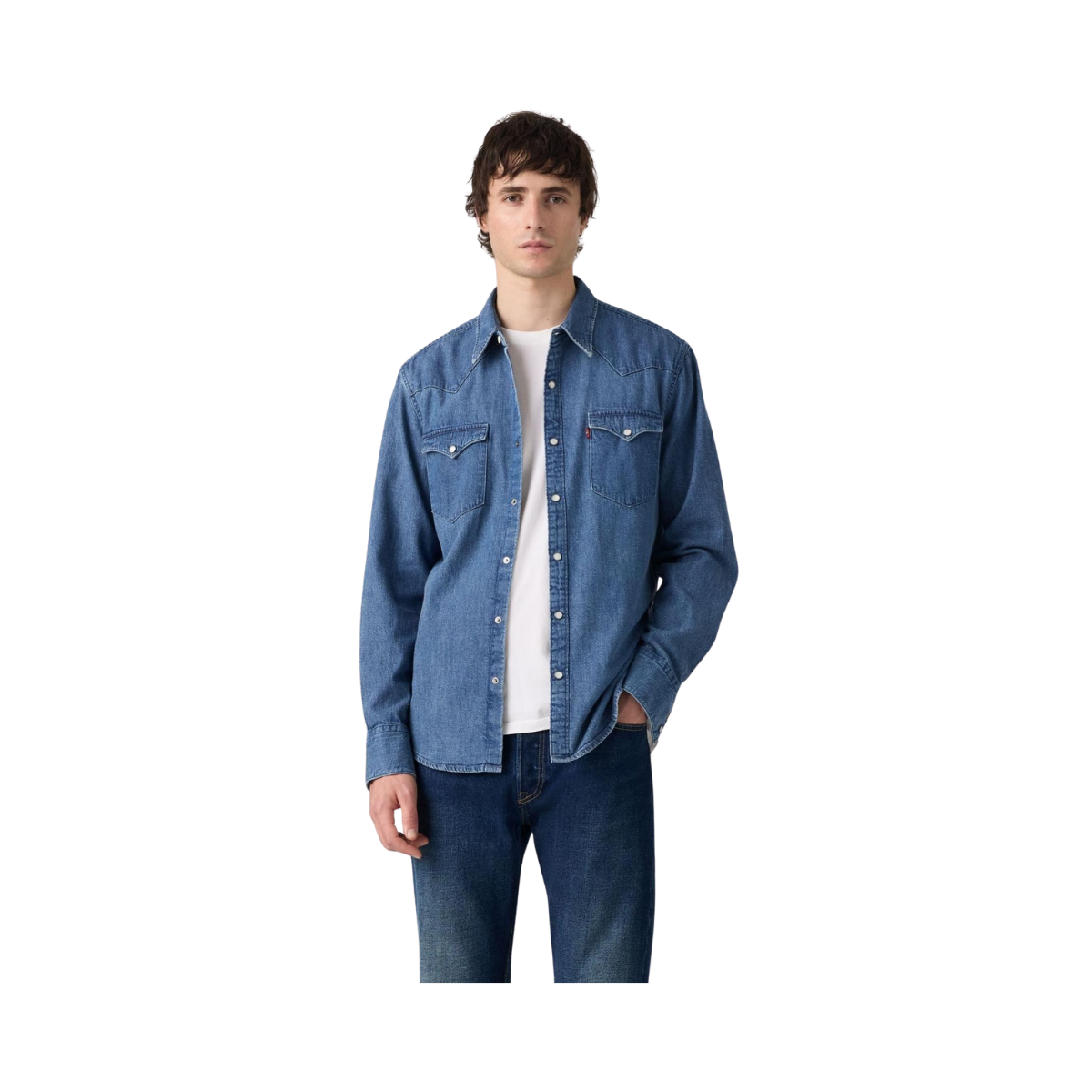 Barstow Western Shirt - Rustic Root Hills Worn-In
