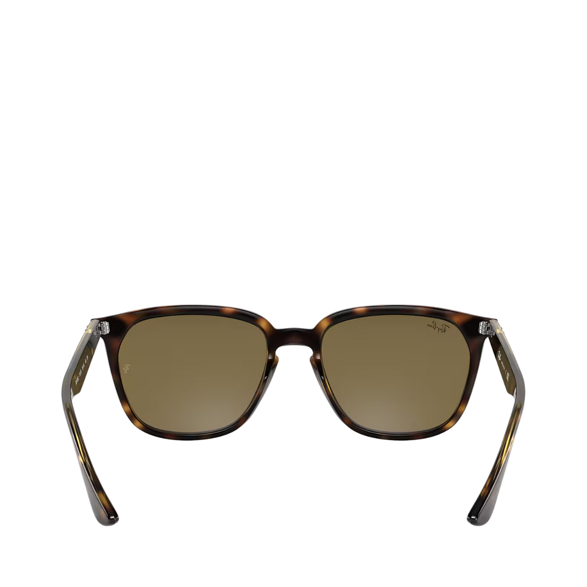 Ray-Ban - Brown