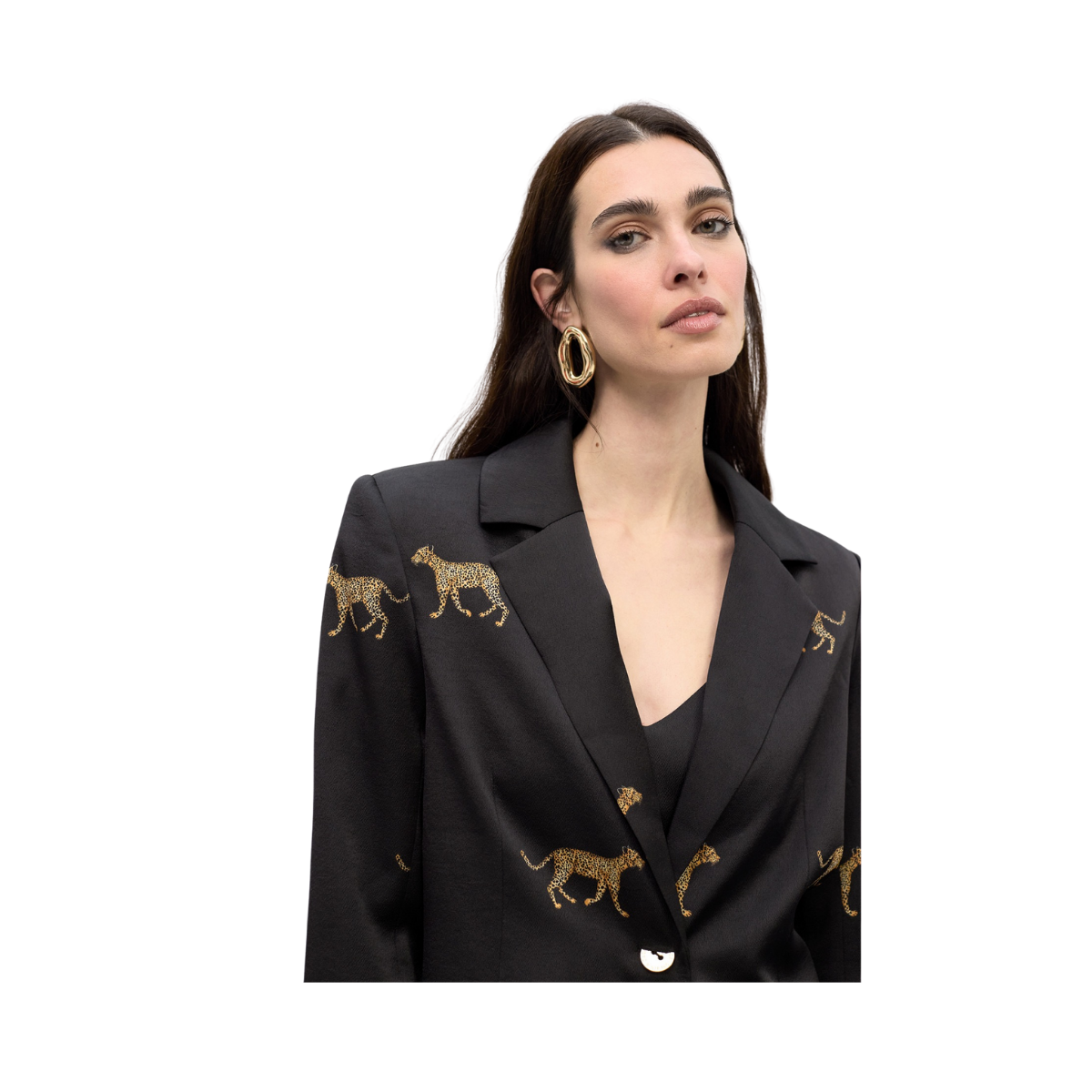 Straight Blazer with Leopard Print - Black-Brown