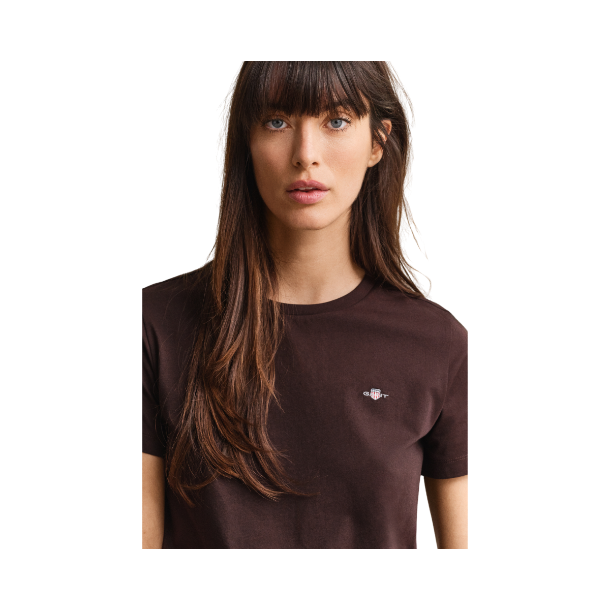 Reg Shield SS T-Shirt - Deep Brown
