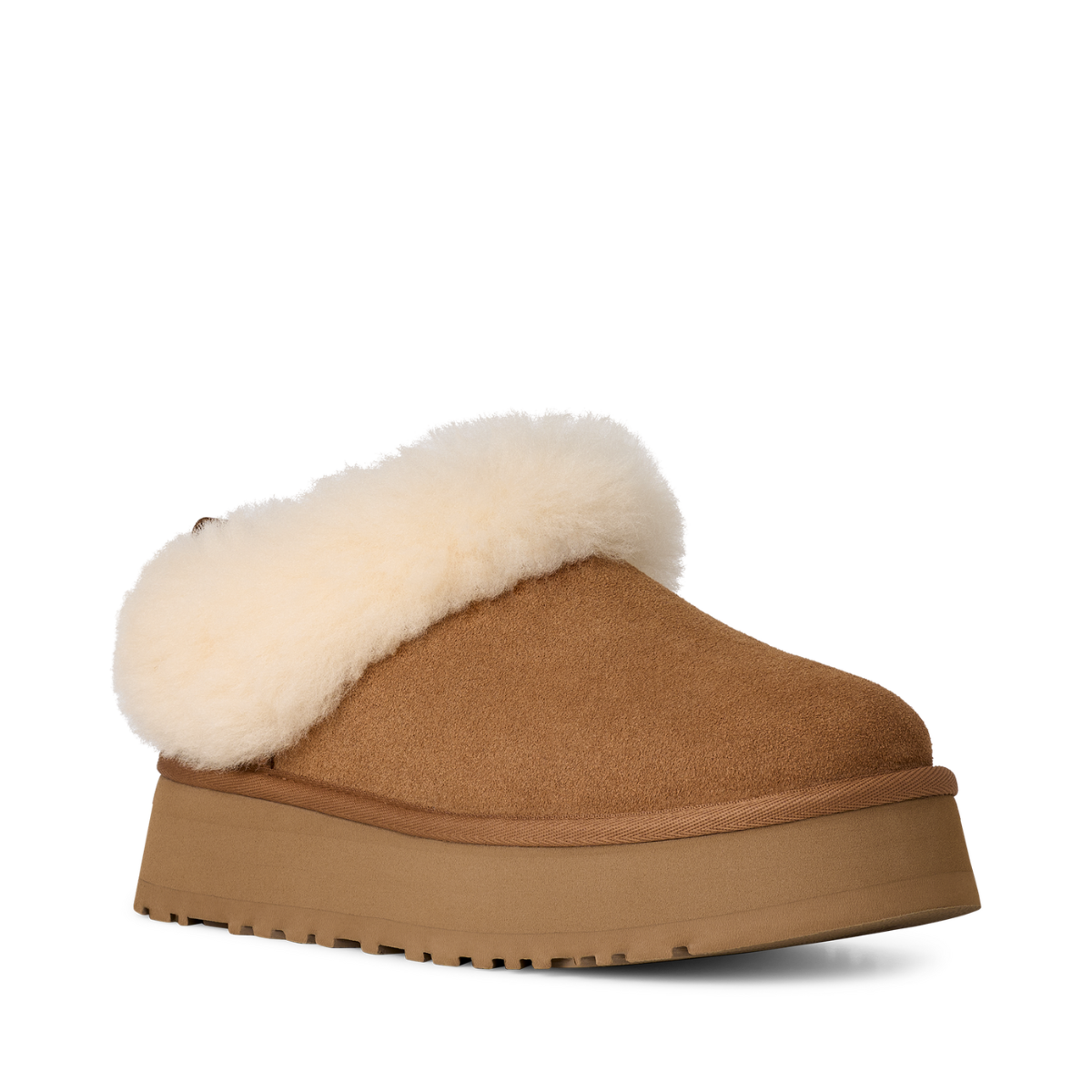 W Tazzelle - CHE Chestnut