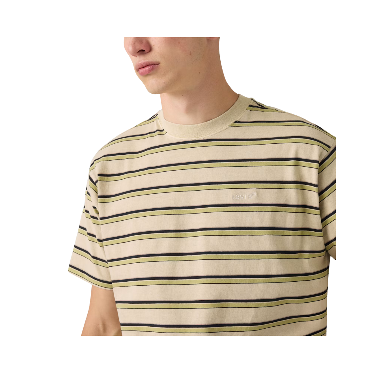 Red Tab Vintage Tee - Martin Stripe Winter Pear
