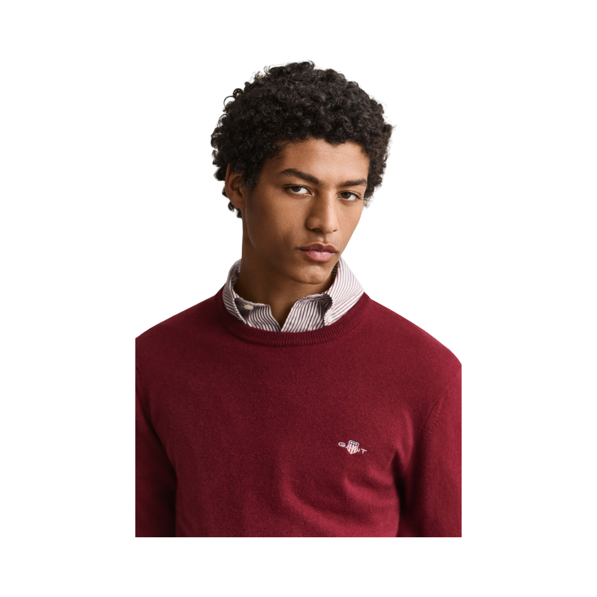 Superfine Lambswool C-Neck - Plumped Red