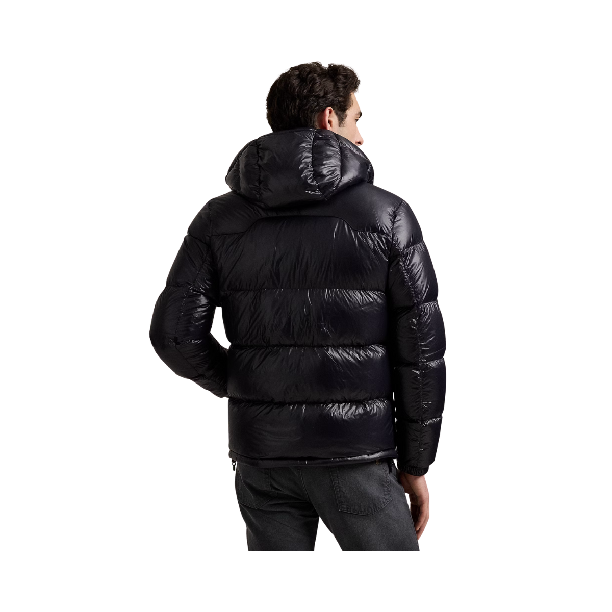 Insulated Bomber Jacket - Polo Black Glossy