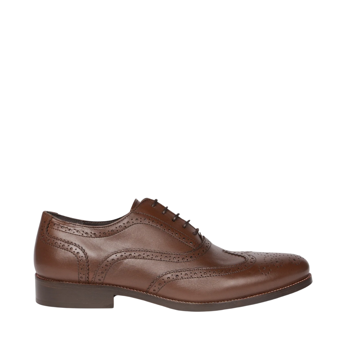 Gustav PR - Brown Monochrome