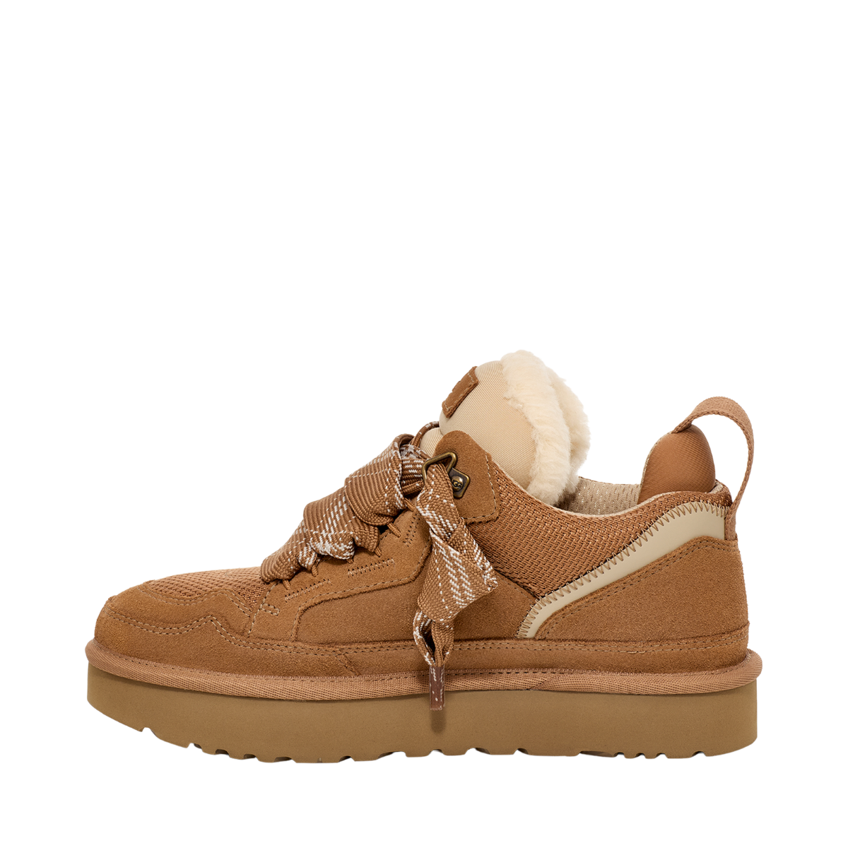 W Lowmel - CHE Chestnut