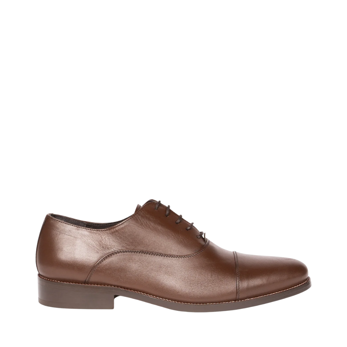 Bruno PR - Brown Monochrome