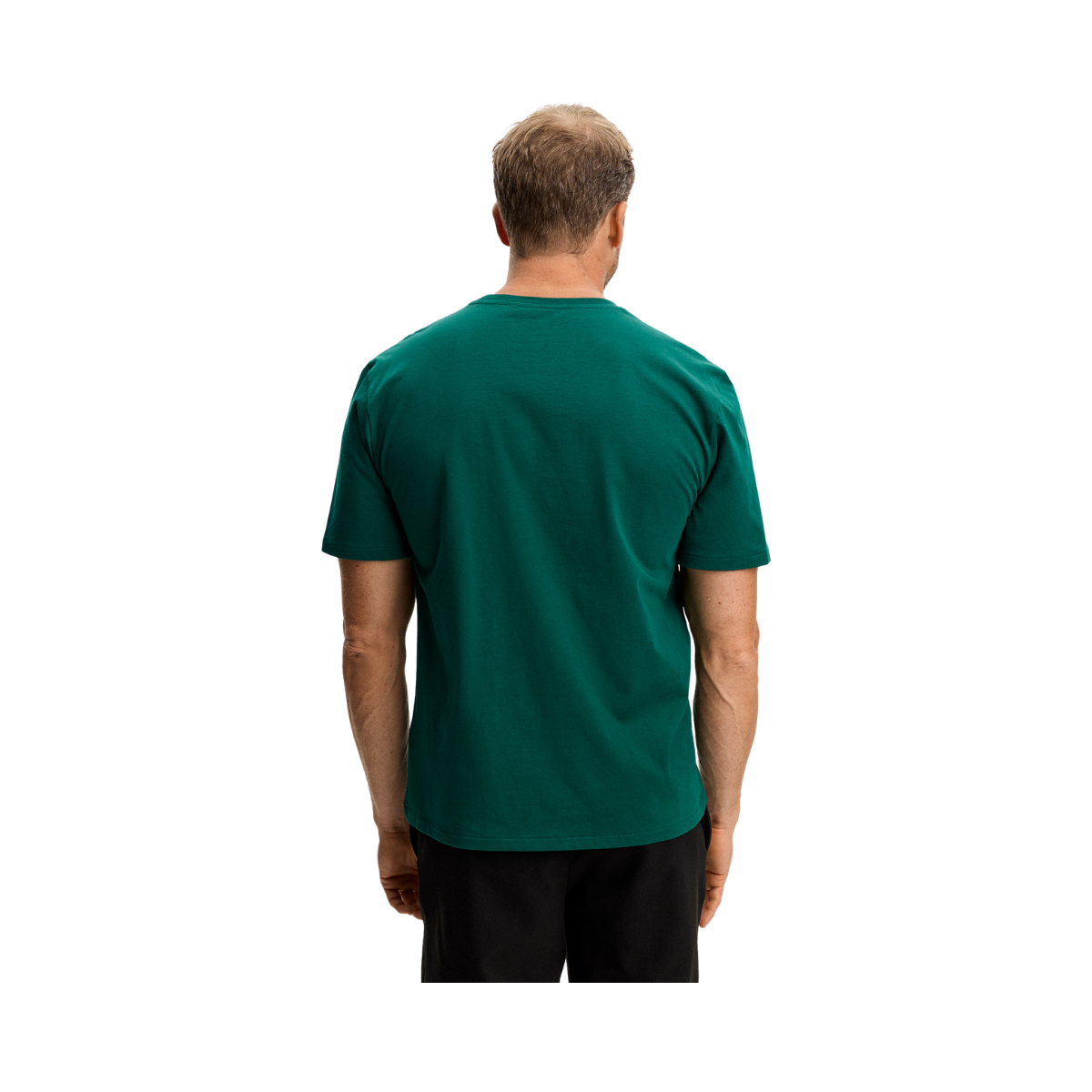 ALPHA GRAPHIC T-SHIRT - Forest Biome