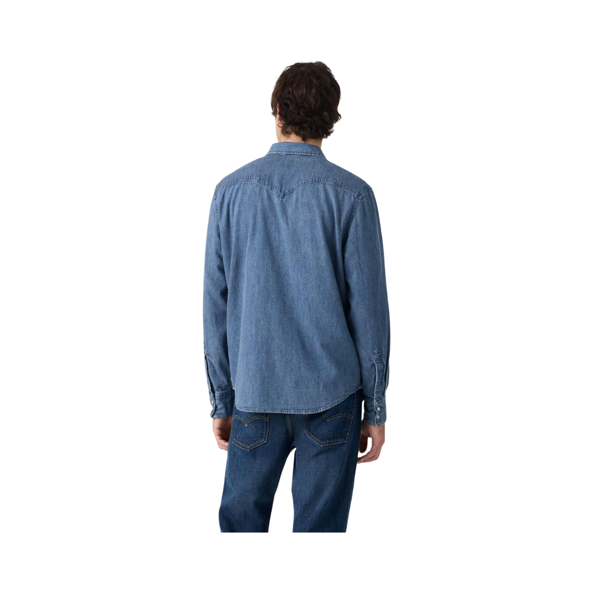 Barstow Western Shirt - Rustic Root Hills Worn-In