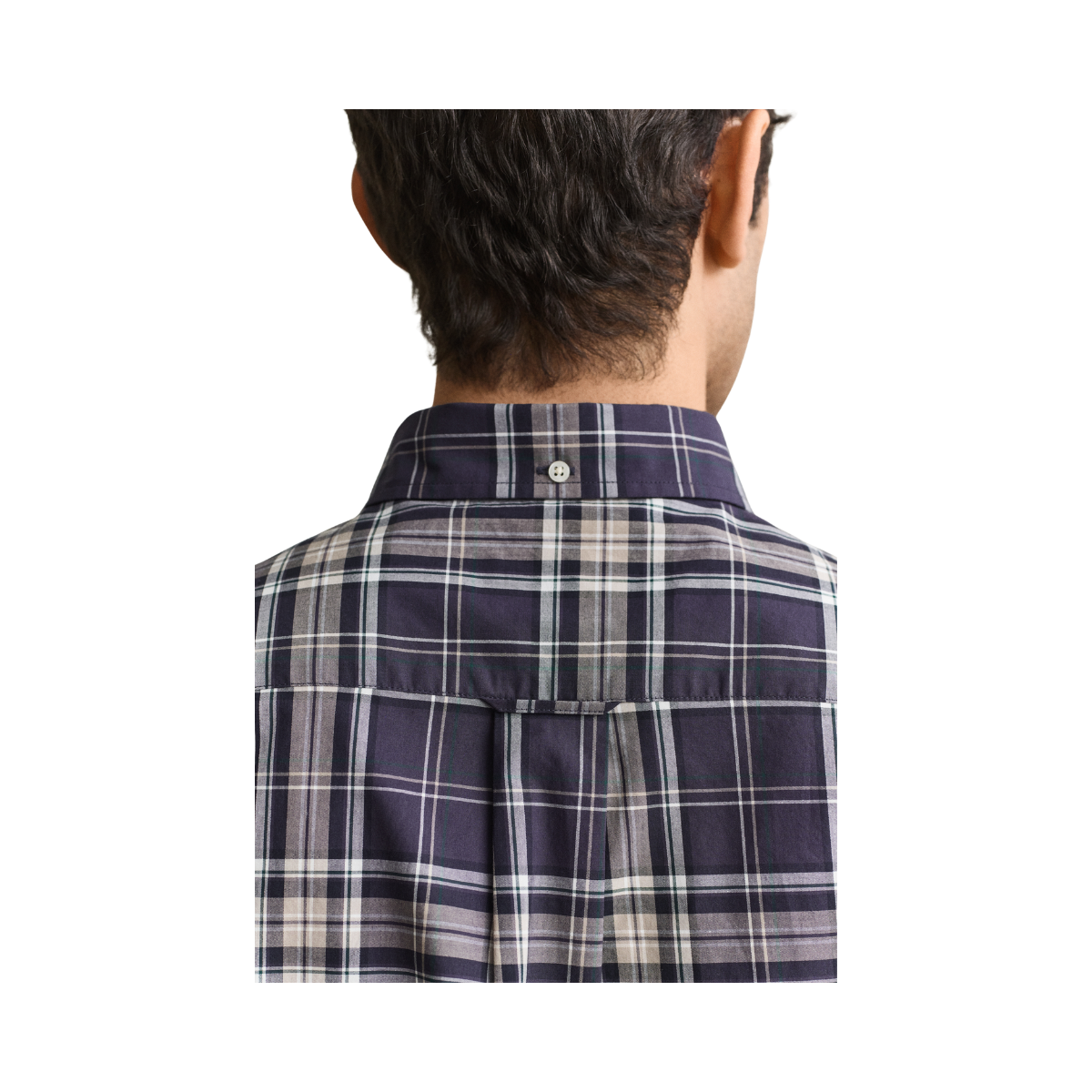 Reg Poplin Check Shirt - Mist Taupe