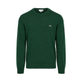 Crewnecks Sweaters - Green