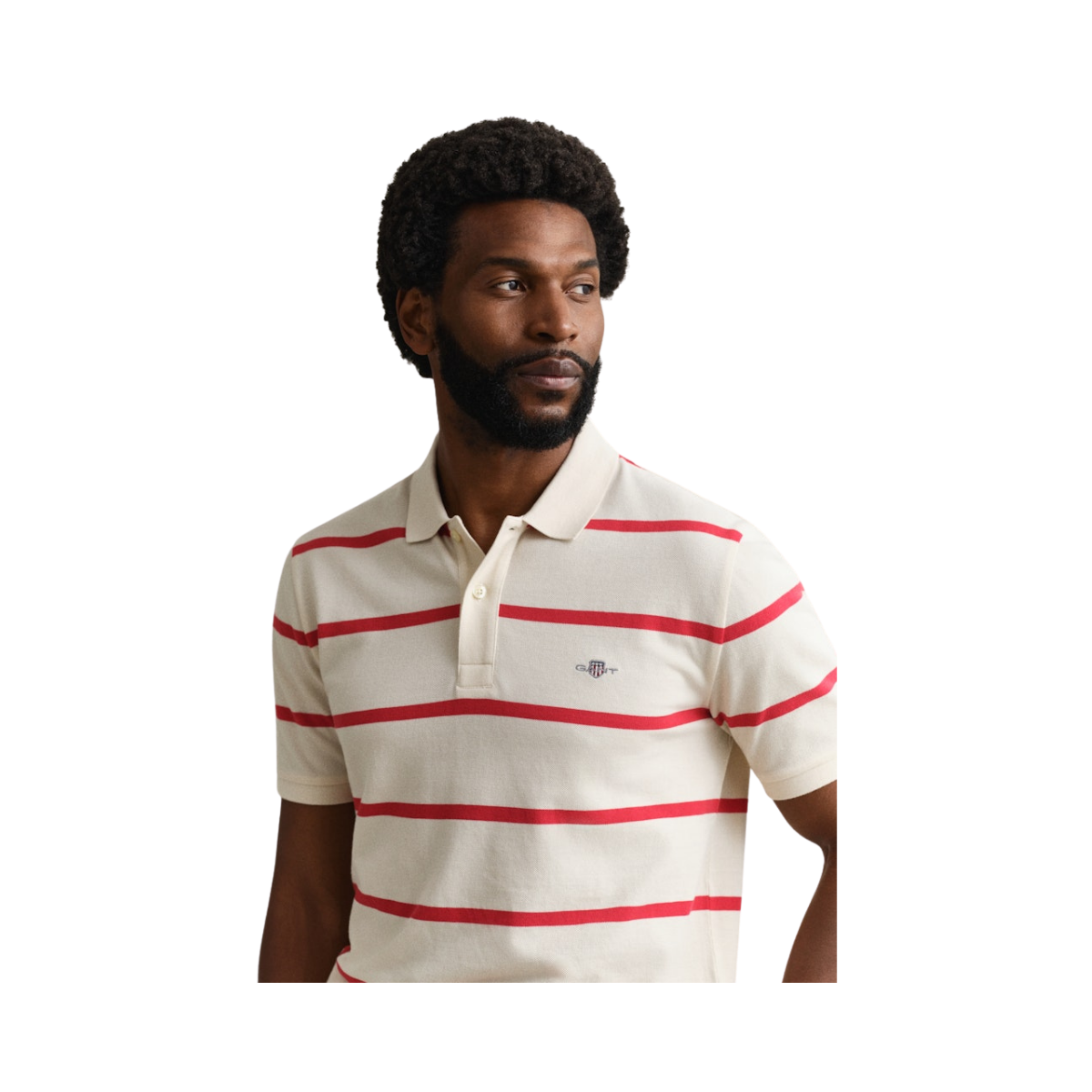 Striped SS Polo - Creamed White