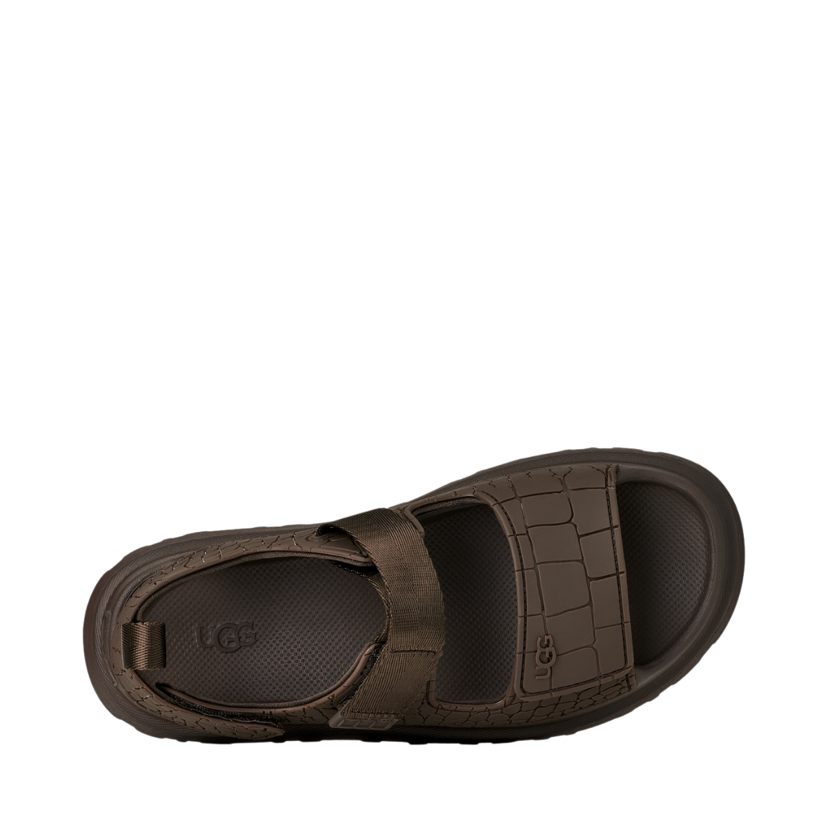 W Goldenglow Embossed - DNSS