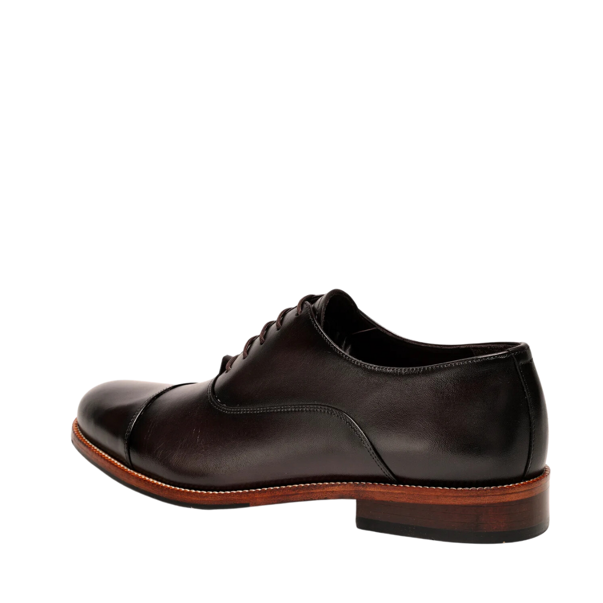 Bruno - 245 Brown