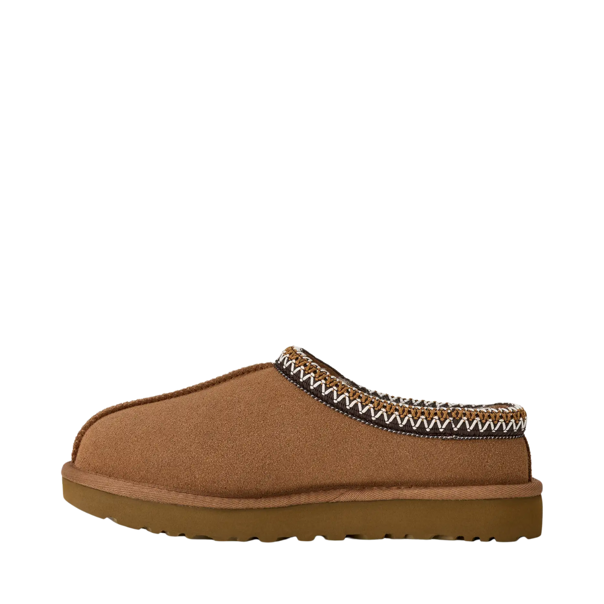 W Tasman II - CHE Chestnut