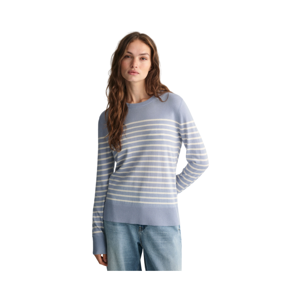 Fine Knit Striped Crewneck - Blue