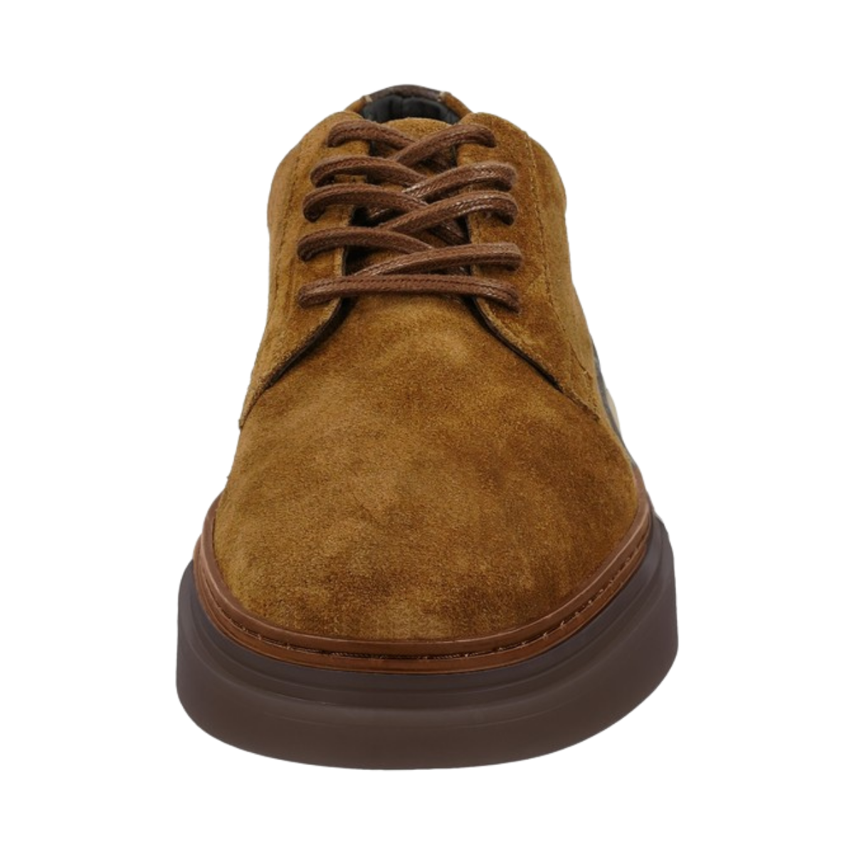 Kinzoon Low Lace Shoe - Warm Khaki/Dk Brown