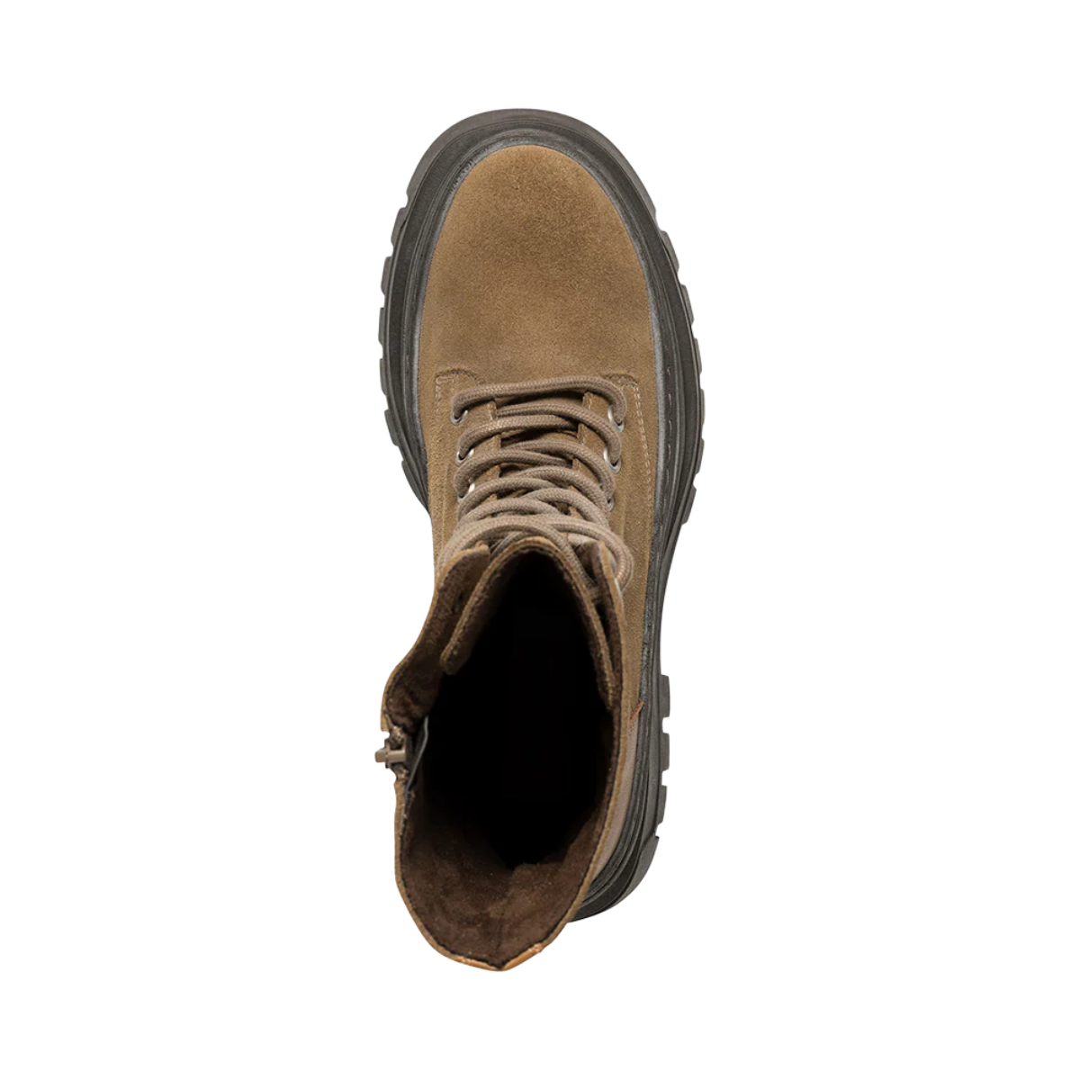 Coast - Taupe Suede