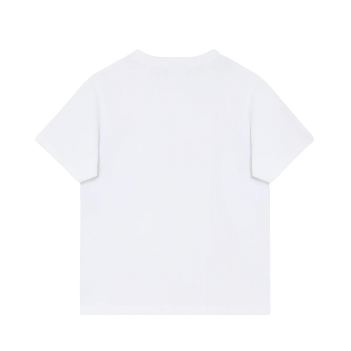Parry Logo - Bright White