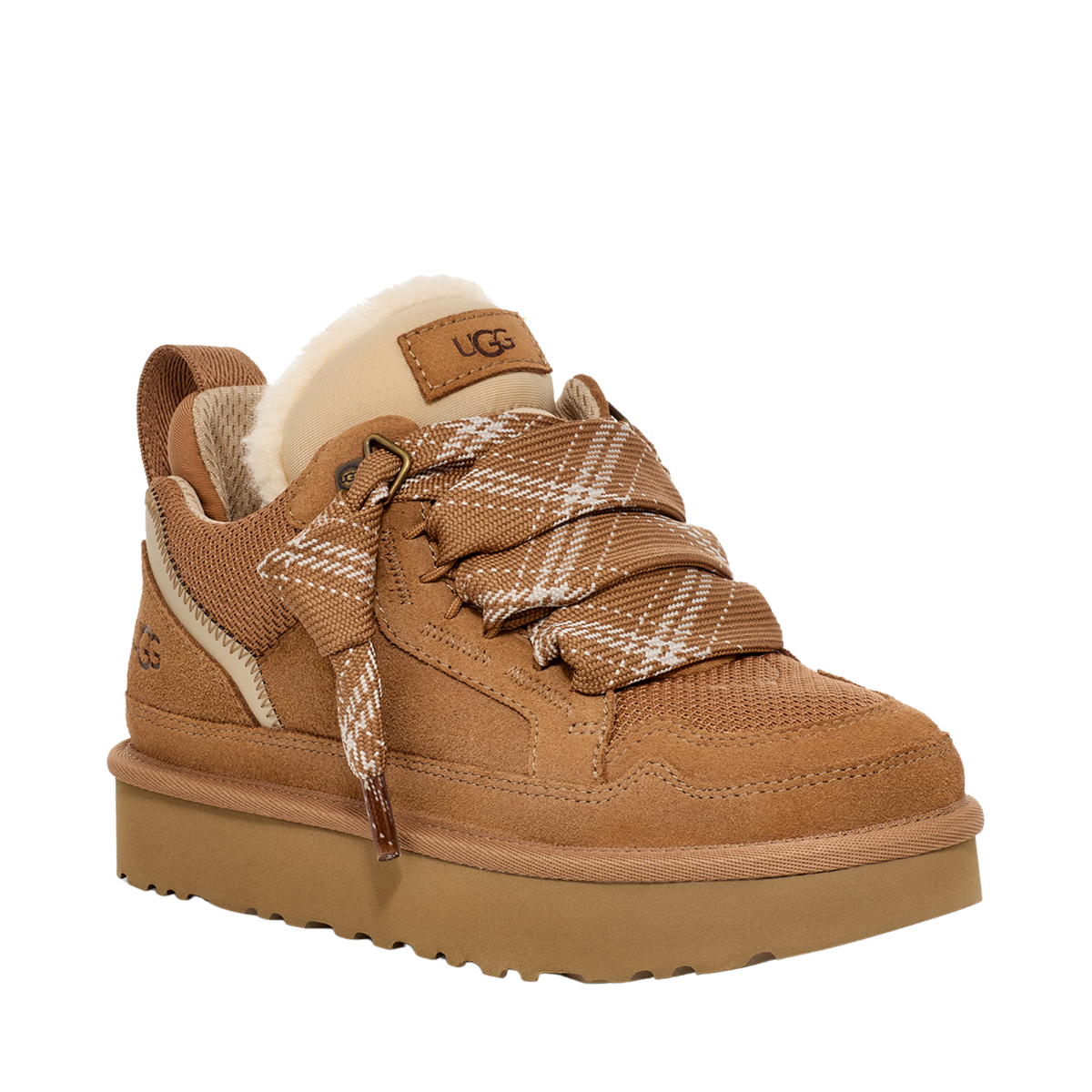 W Lowmel - CHE Chestnut