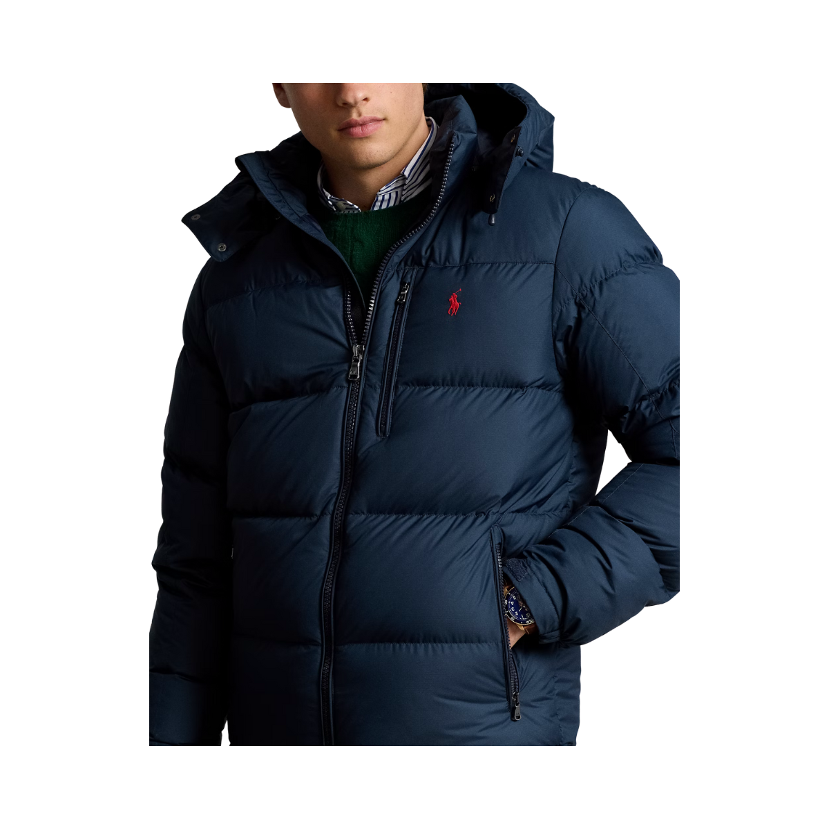 Insulated Bomber Jacket - Collection Navy