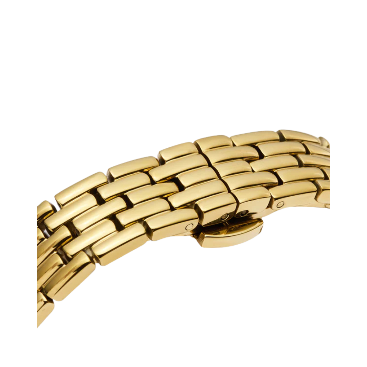 Renaissance Gold Watch - gold