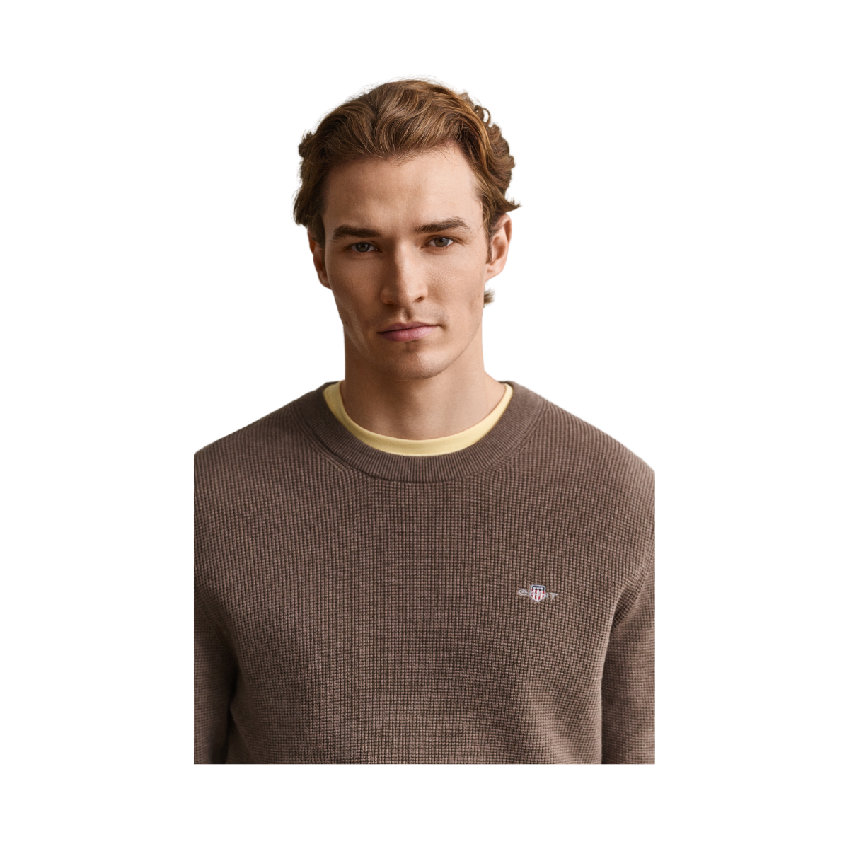 Micro Textured Cotton C-Neck - Dark Hazelnut Melange