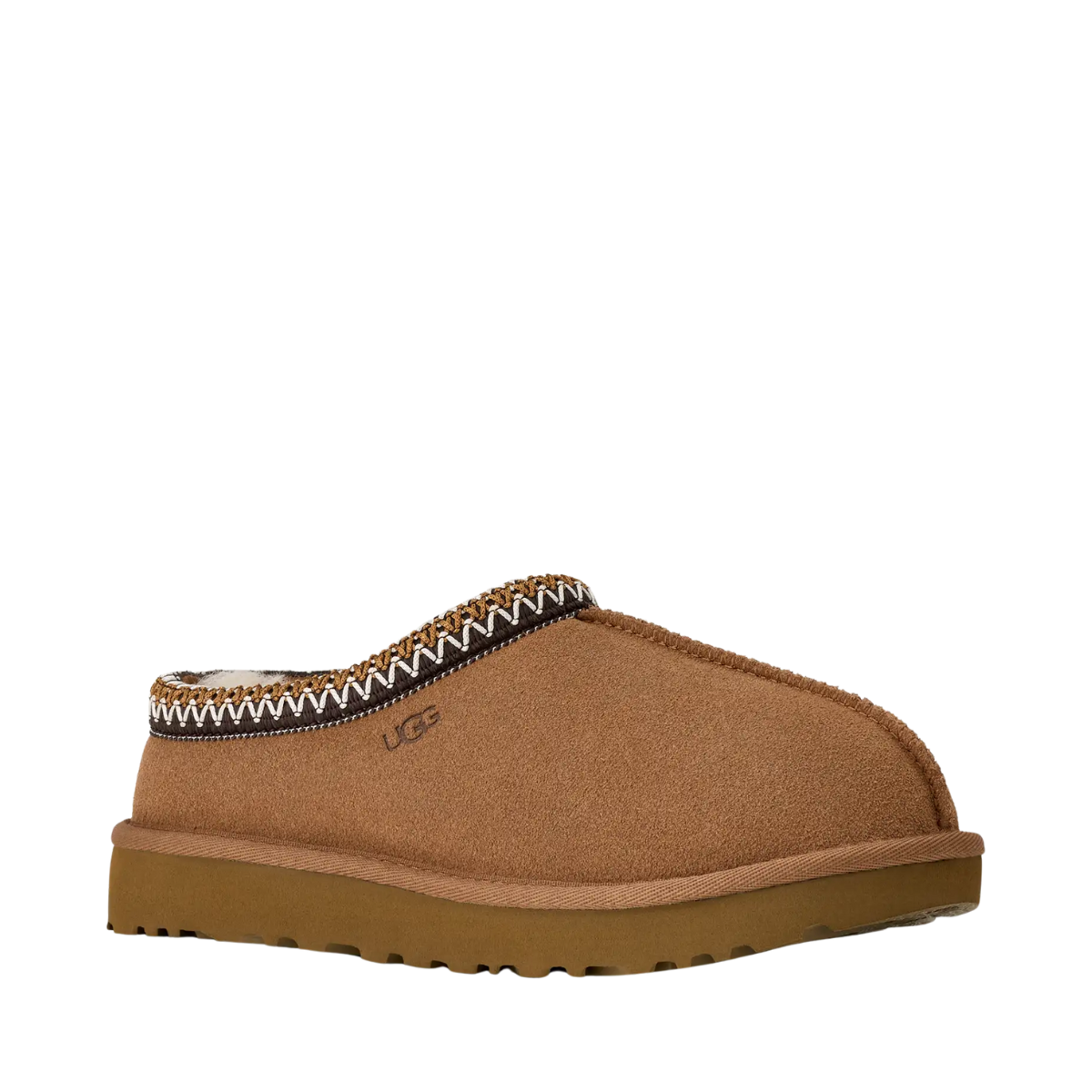 W Tasman II - CHE Chestnut
