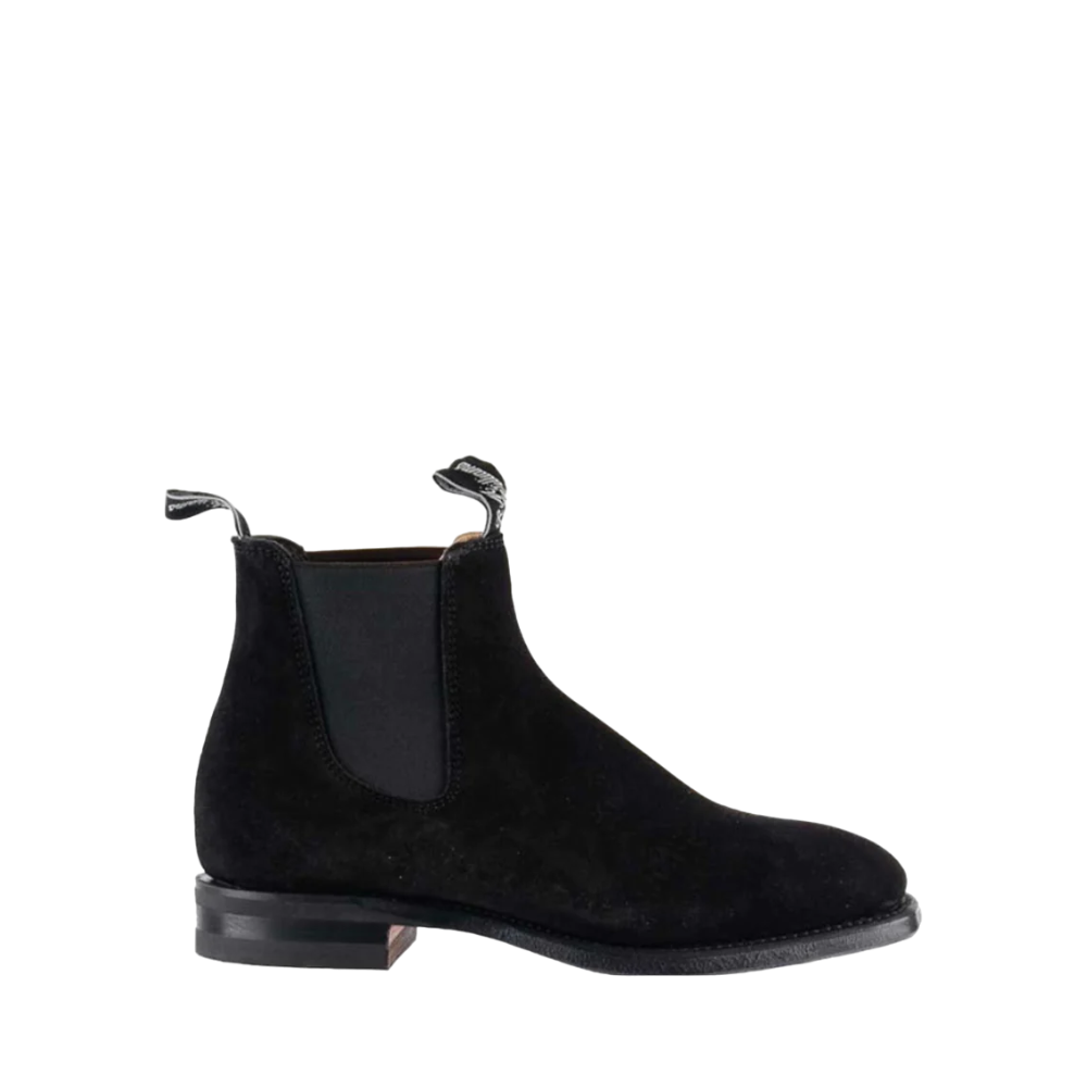 Blaxland G Suede - Black