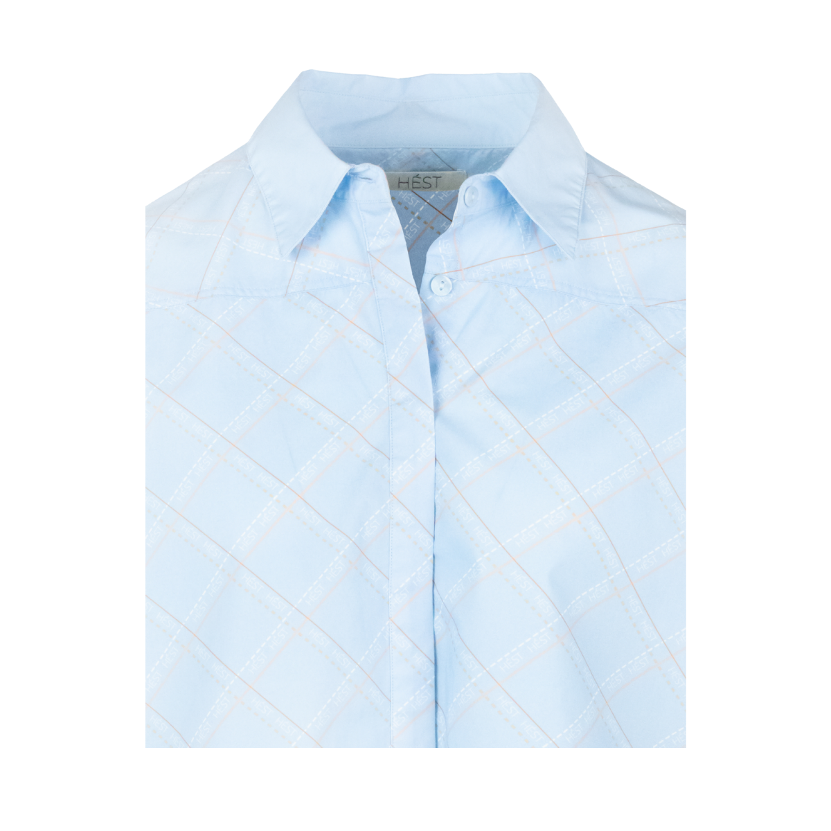 Arya Printed Shirt - Skyway