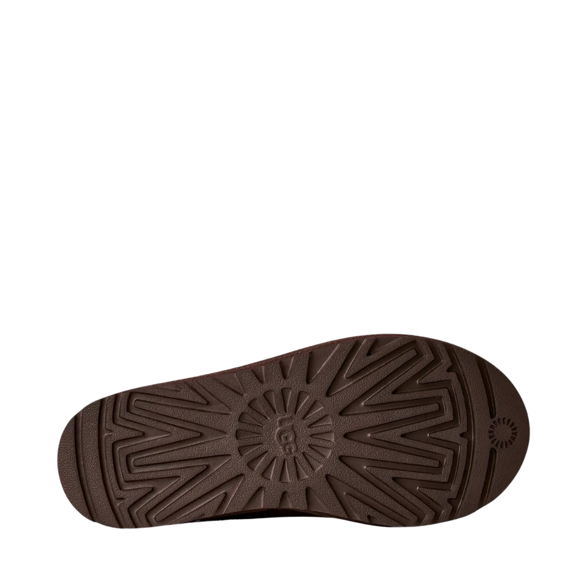 W Tasman II - DDC Dusted Cocoa