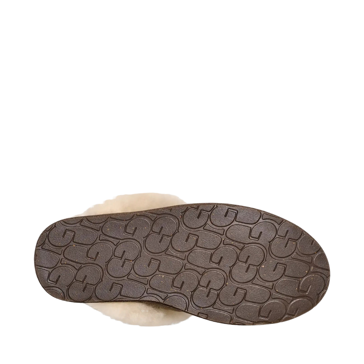 W Scuffette II - ESP Espresso