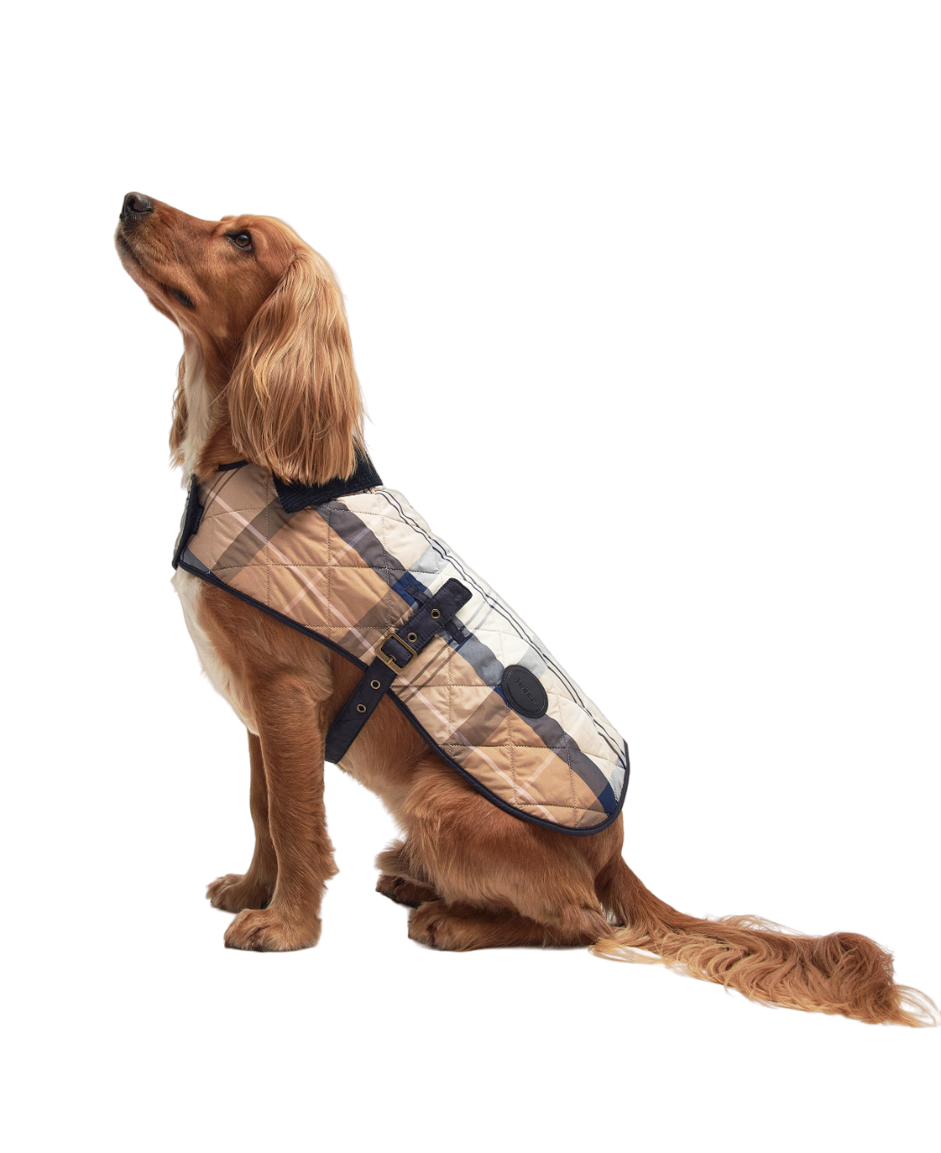 Tartan Dog Coat - Multi