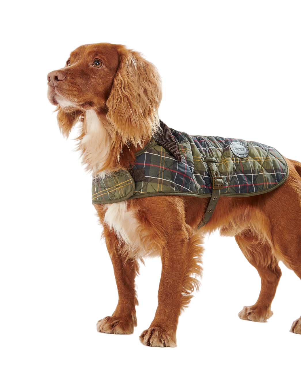 Tartan Dog Coat - Green