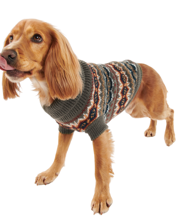 Case Fair Isle Dog Jumper - Green