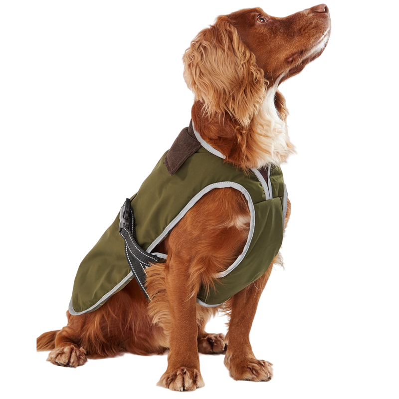 Monmouth Waterproof Dog Coat - Green