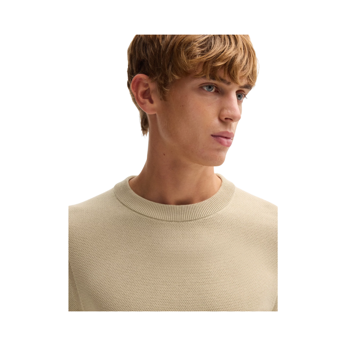 Ecaio-P - Light Beige
