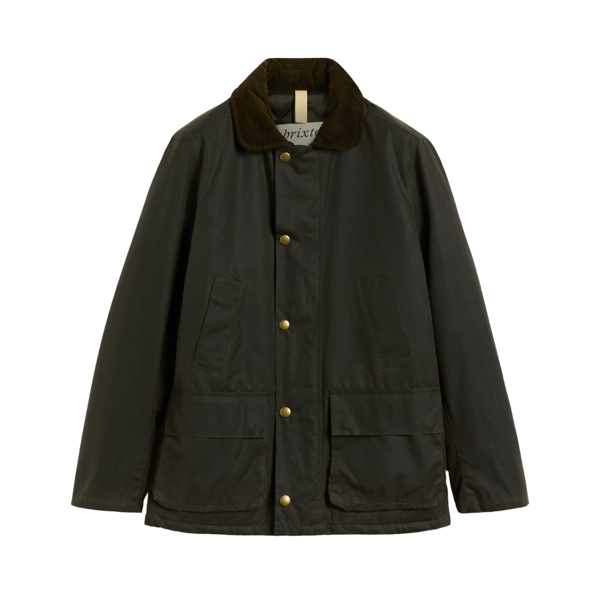 Curtis - Olive