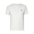 Classic Fit Crewneck T-Shirt - Antique Cream/Antique Green