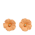 Iris flower - Peach